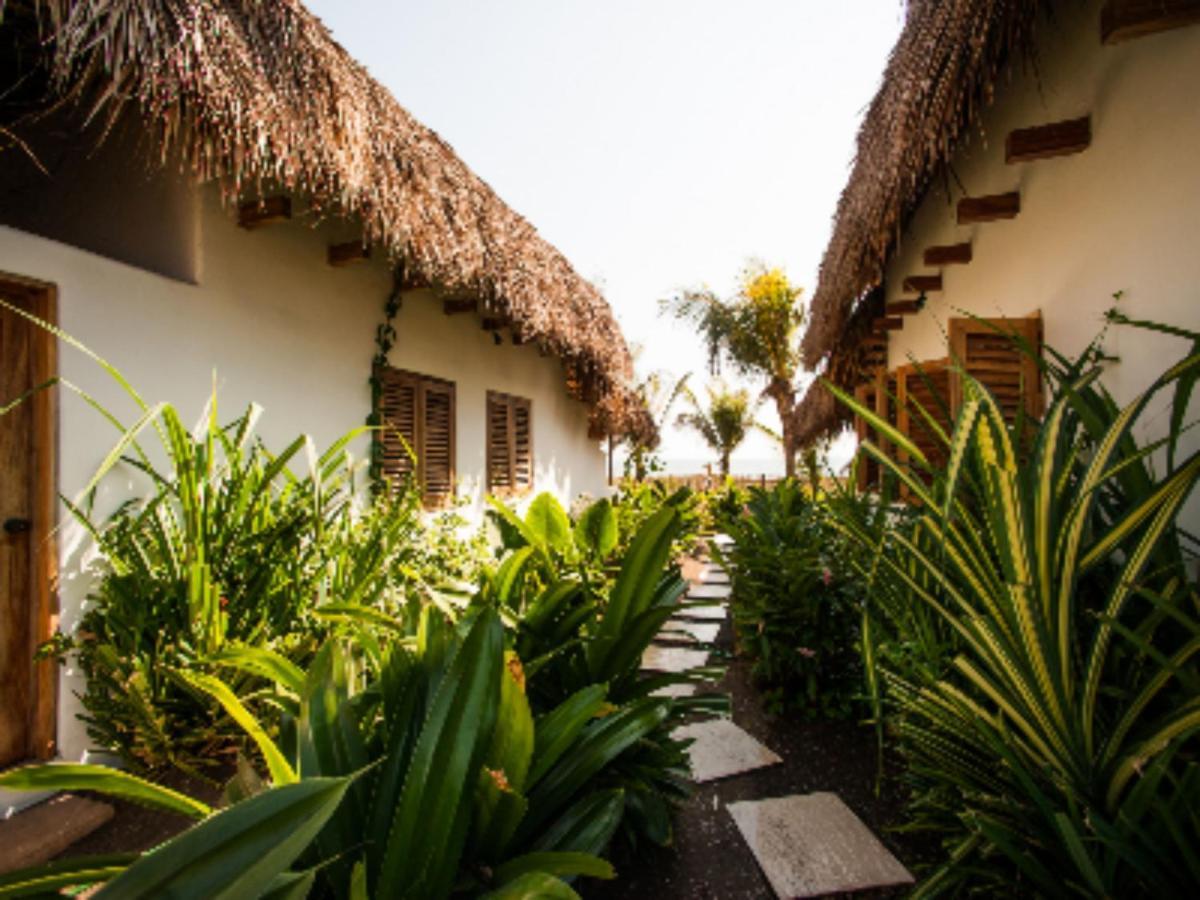 فندق Paredon Surf House El Paredón Buena Vista المظهر الخارجي الصورة