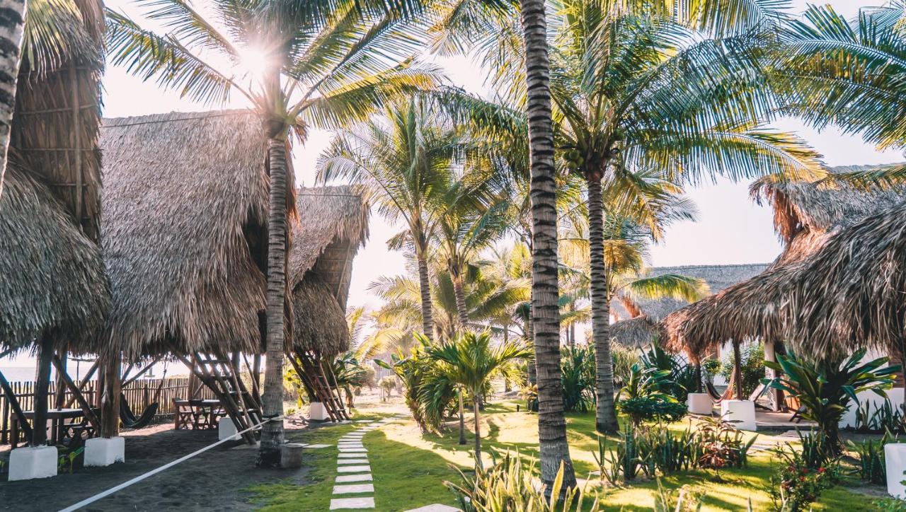 فندق Paredon Surf House El Paredón Buena Vista المظهر الخارجي الصورة