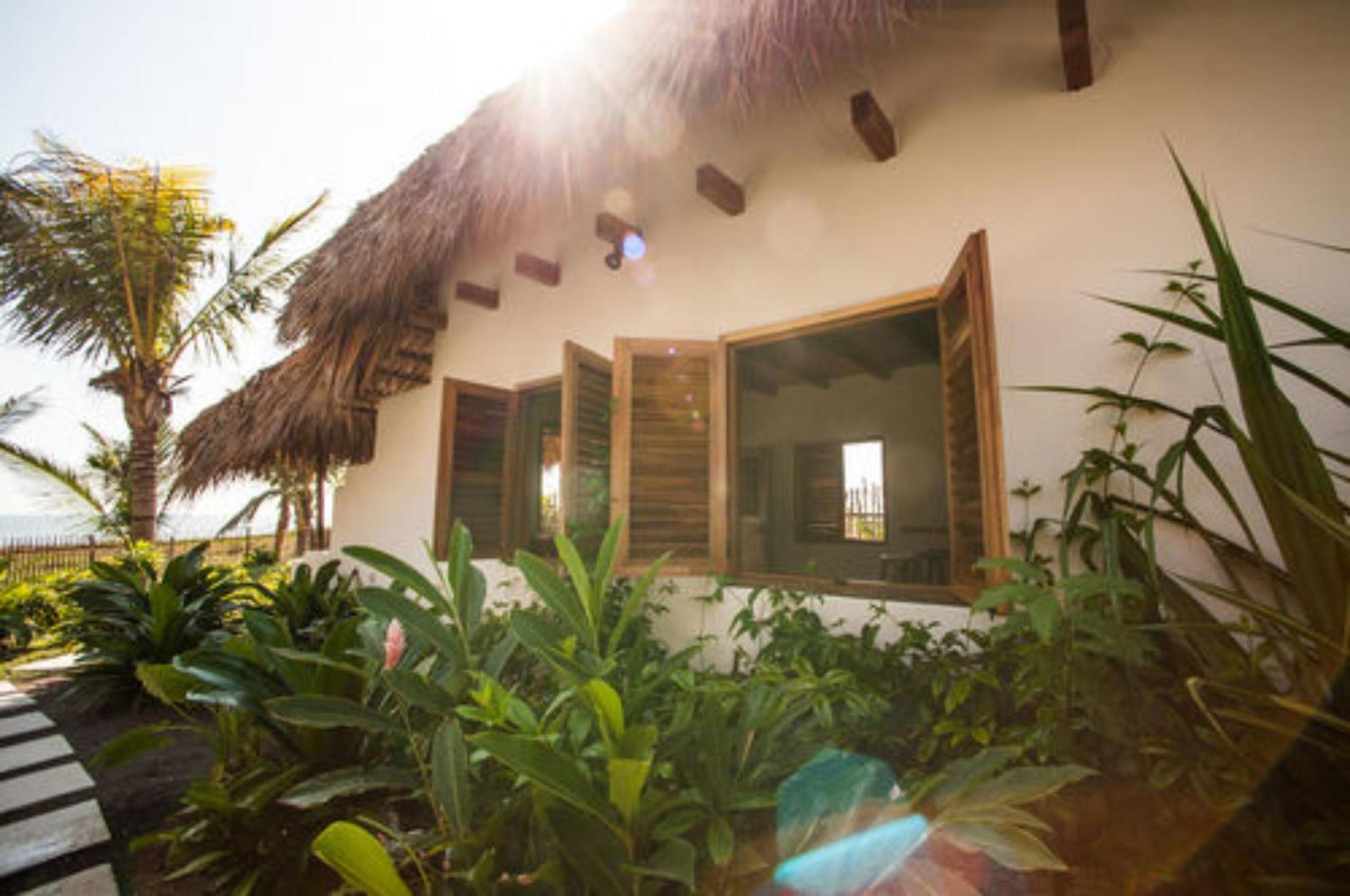 فندق Paredon Surf House El Paredón Buena Vista الغرفة الصورة