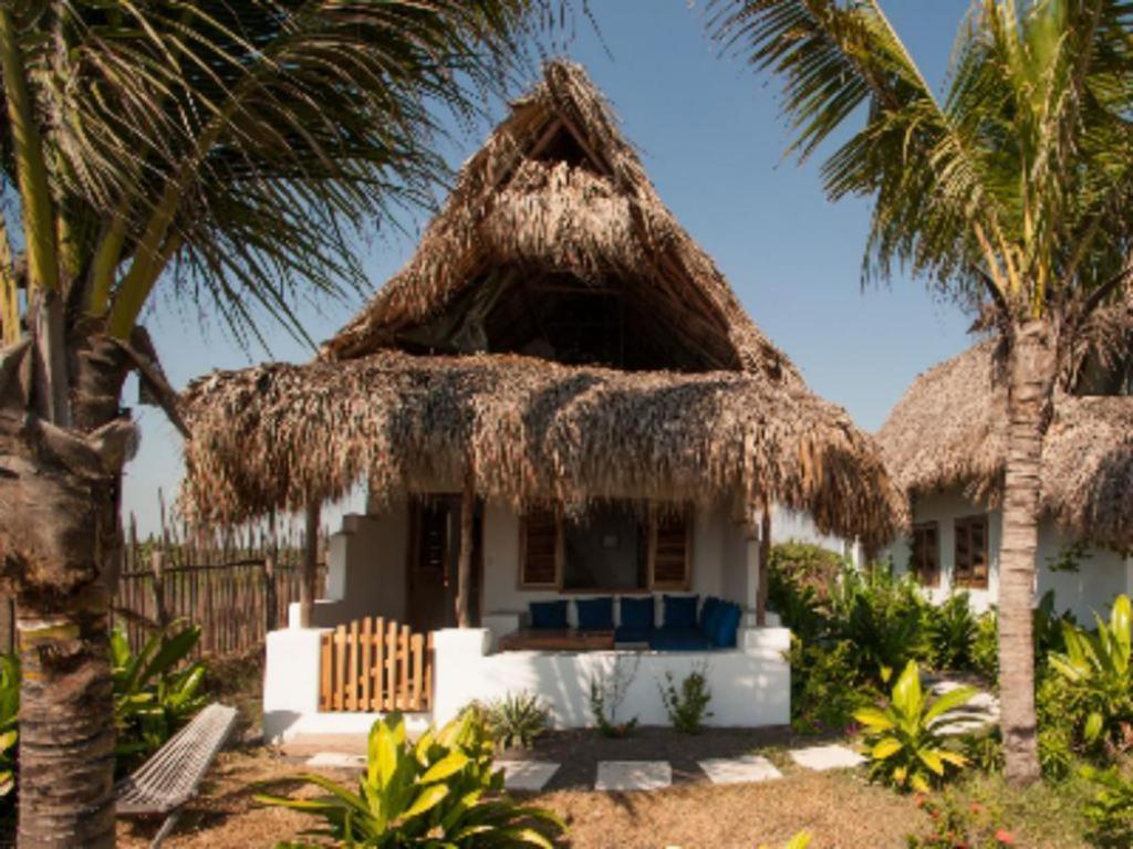 فندق Paredon Surf House El Paredón Buena Vista الغرفة الصورة