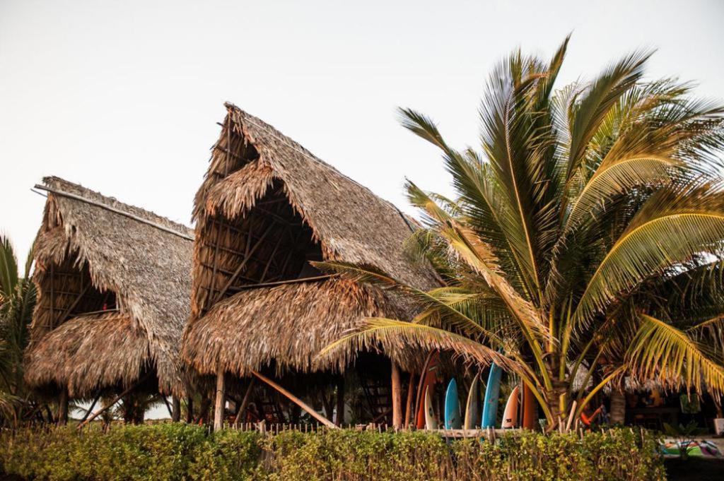 فندق Paredon Surf House El Paredón Buena Vista الغرفة الصورة