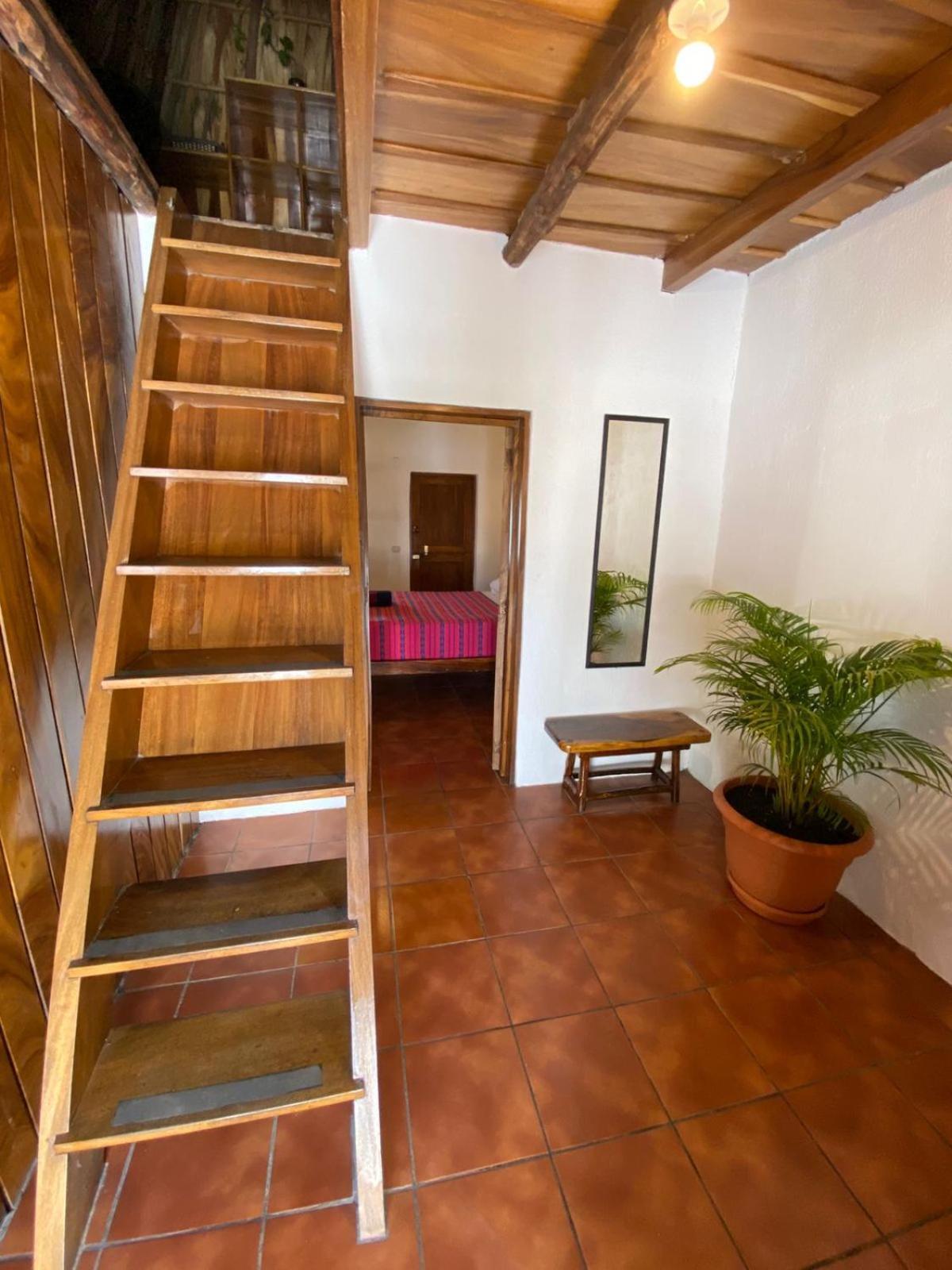 فندق Paredon Surf House El Paredón Buena Vista المظهر الخارجي الصورة