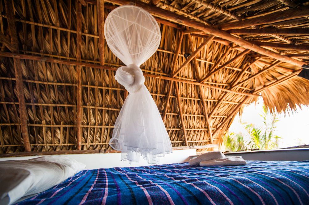 فندق Paredon Surf House El Paredón Buena Vista المظهر الخارجي الصورة
